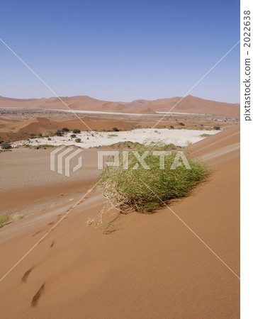 Namib Desert Namib Desert 2022638