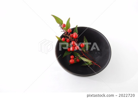 黑碗和南部水果 2022720