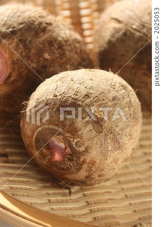 Red bud taro 2025053