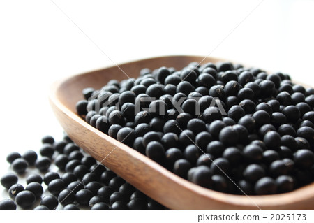 Black Thousand Ishiguro Soybeans 2025173