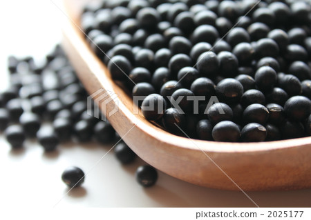 Black Thousand Ishiguro Soybeans 2025177