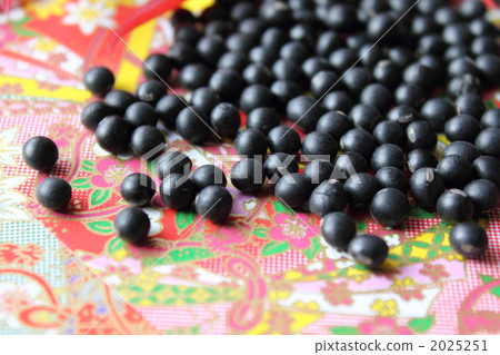 Black Thousand Ishiguro Soybeans 2025251