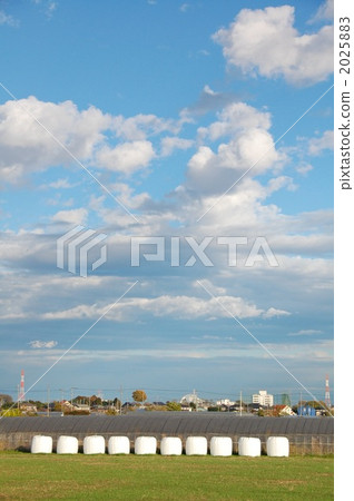 hay, haystack, agriculture, forestry, stockbreeding, hunting and fishing 2025883