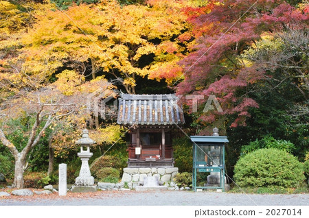 Yoshinobu Temple Autumn leaves 2027014
