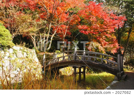 Yoshinobu Temple Autumn leaves Yoshinobu Temple Autumn leaves 2027082
