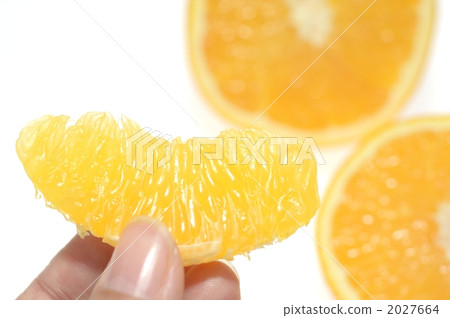 held, hold, holding 2027664