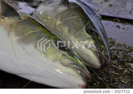 冰見口的冰島 2027712