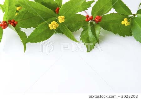 Arrangement of thousands 2028208