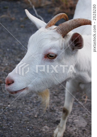 一路走來 2028280