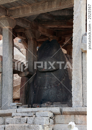 Nandi shrine of Hampi remains 2028567
