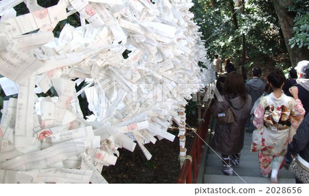 written oracle, written fortune, tie 2028656