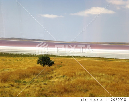A red lake 2029010