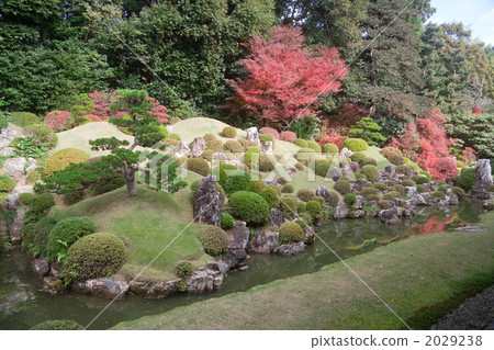 Longkang Temple Garden Longkang Temple Garden 2029238