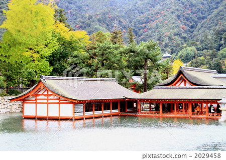 Itsukushima shrine  2029458