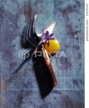 貝殼 叉子 餐叉 2029545