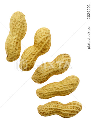 peanuts peanuts 2029901