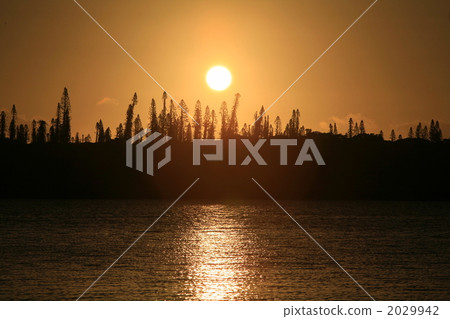 Ile des pan Ile des pan 2029942