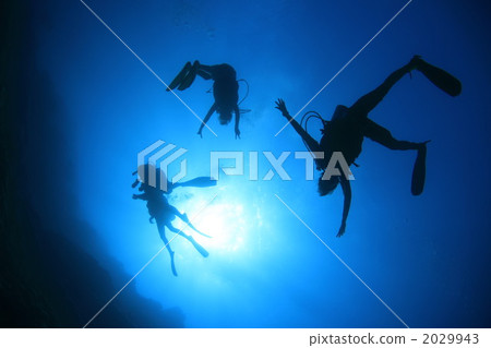 Enjoy diving Enjoy diving 2029943