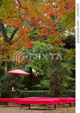 Autumn tea ceremony 2030020