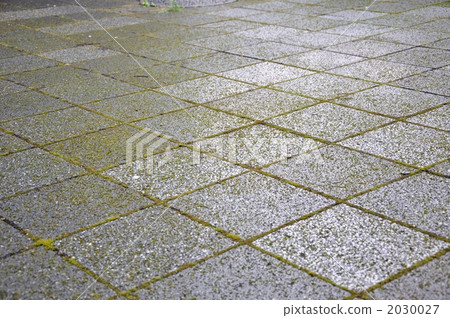 Morning pavement 2030027