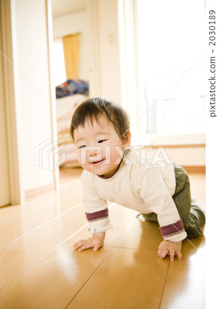 嬰兒爬行 2030189