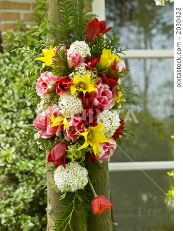 Garden Tulip Flower Arrange Netherlands 2030428