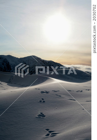 Footprints of rabbits around Hayatsuki hut Footprints of rabbits around Hayatsuki hut 2030702