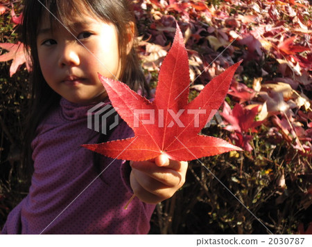 I got a clean leaf 2030787