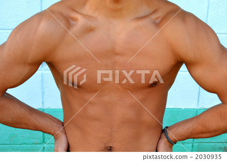 Muscle lumbar 2030935
