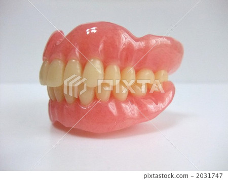 denture denture 2031747