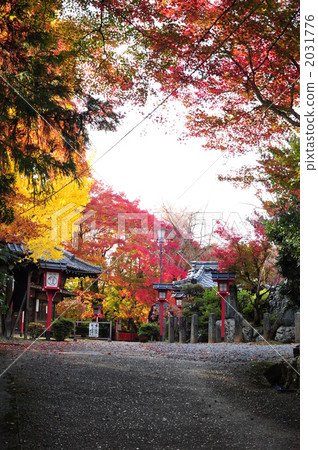 shrines and temples, temple, temples 2031776