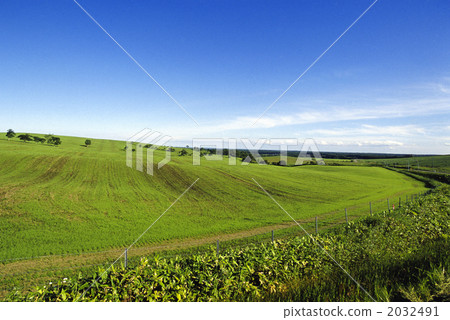 All-you-can-eat ranch landscape of Dido Nakaizu 2032491