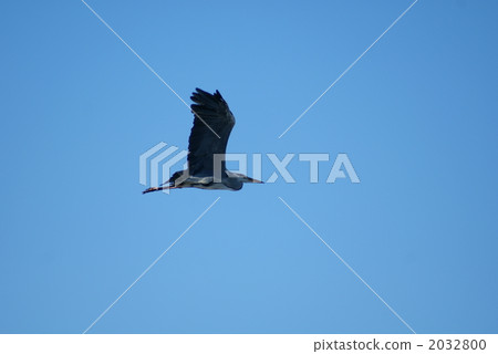 Shigease Hiroshi 2032800