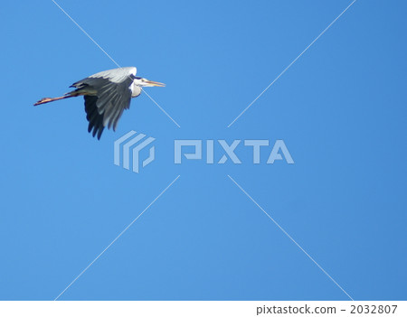 Shigease Hiroshi 2032807