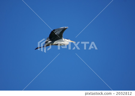 Shigease Hiroshi 2032812