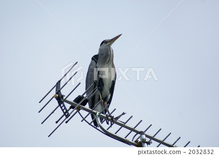 用UHF天線監測虹膜 2032832