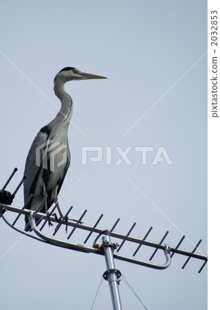 用UHF天線監測虹膜 2032853