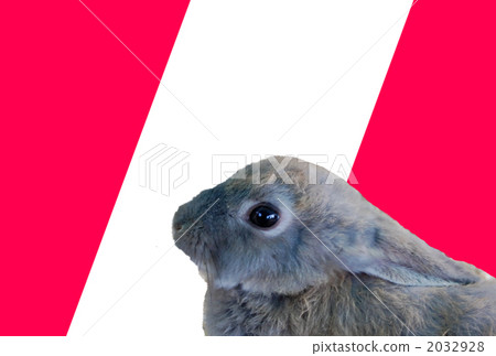 Usagi很酷 Usagi很酷 2032928