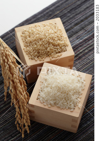 糙米和白米 2033183