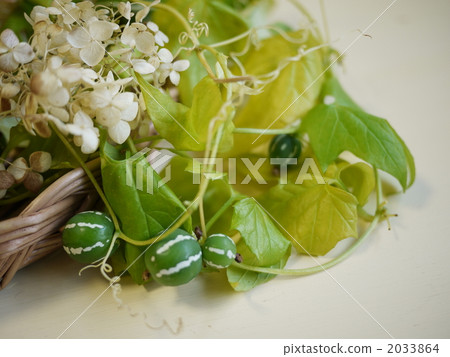 Okinawa sparrow and anbel Okinawa sparrow and anbel 2033864