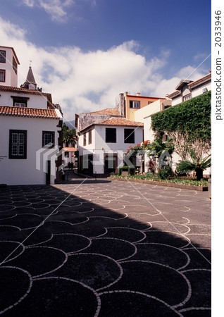 葡萄牙馬德拉豐沙爾 2033946