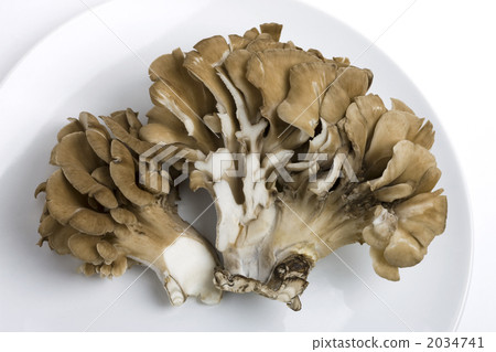 Maitake Maitake 2034741