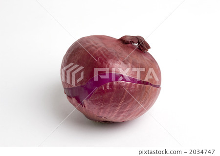 紫洋蔥 2034747