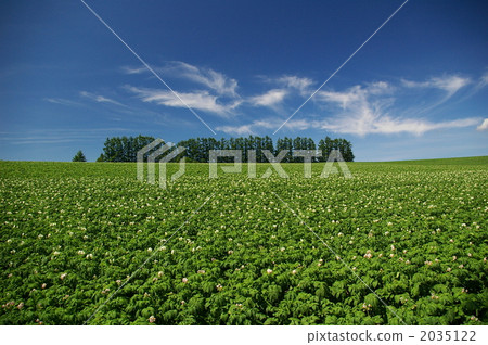 rural districts, farm, field 2035122