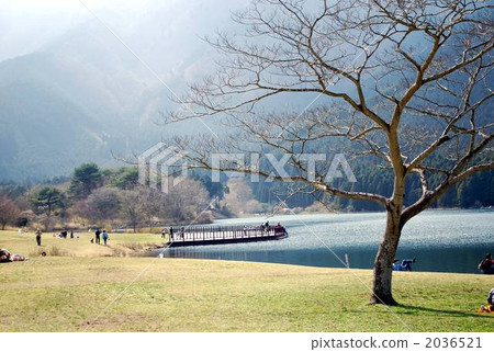 fuji five lakes, tanuki lake, lakeside 2036521