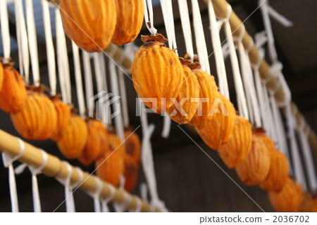 幹柿子行 幹柿子行 2036702