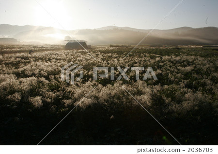 rural districts, farm, field 2036703