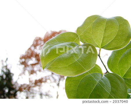 Happy heart ring 2037040