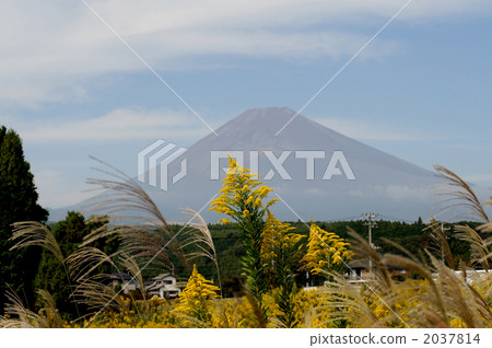 Seiitokawadassi 2037814