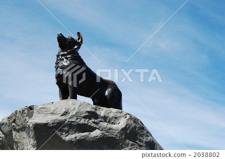 Tekapo牧羊犬圖像 Tekapo牧羊犬圖像 2038802